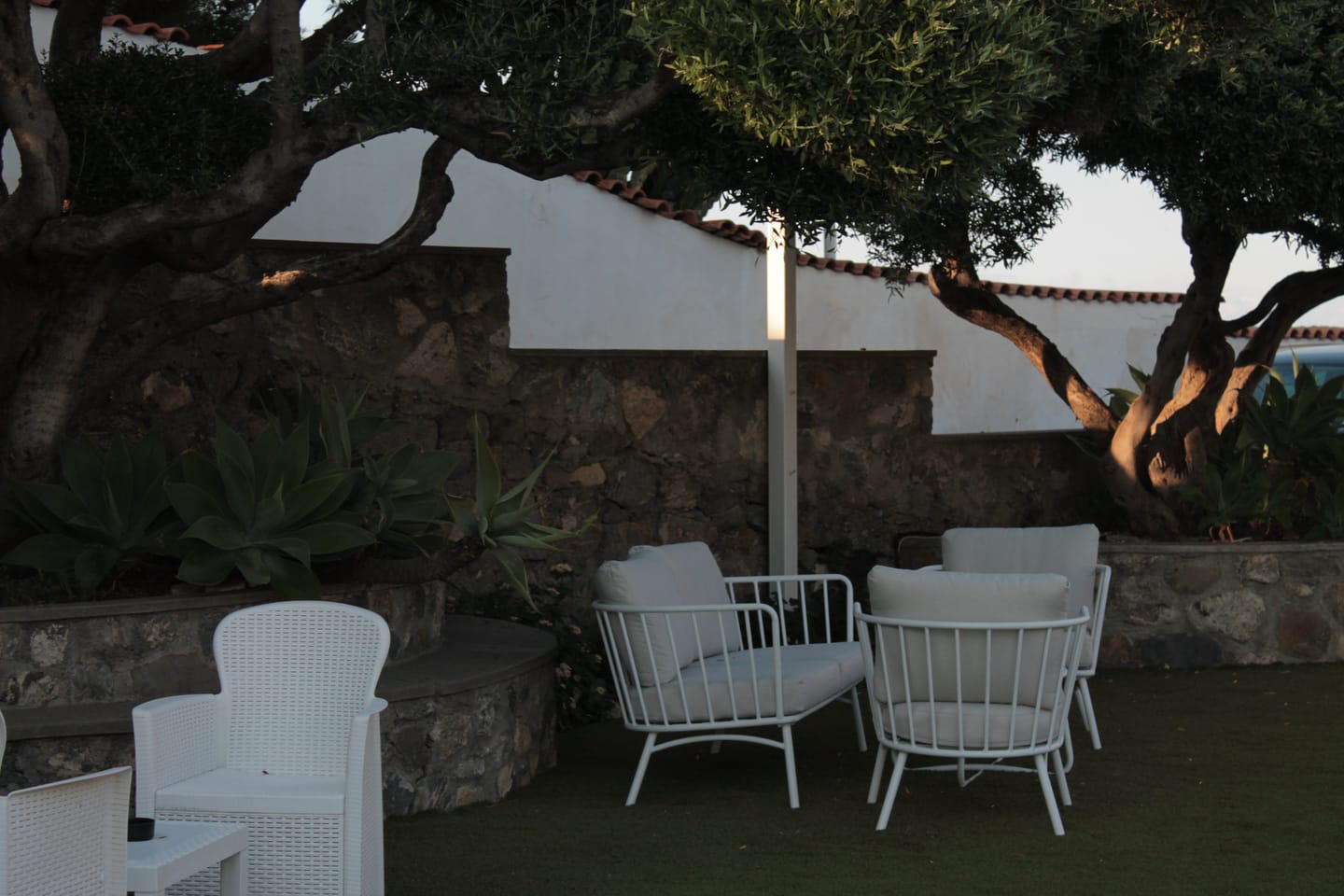 Salottino con poltrone bianche all’ombra di un ulivo, nel giardino di Villa Hera.